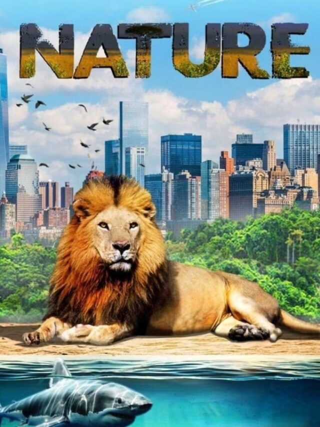 Top 5 Movies About Nature